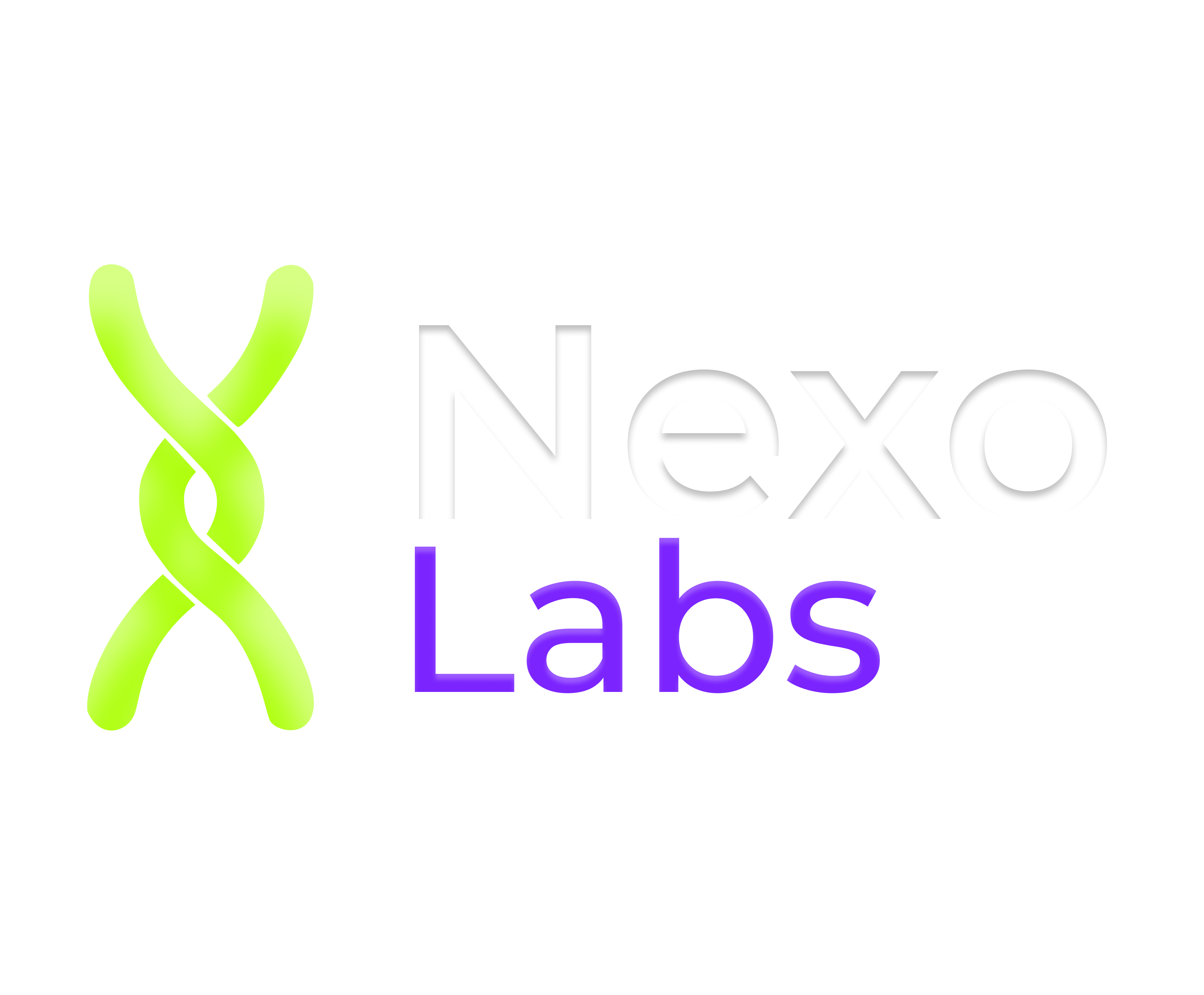 NexoLabs Logo